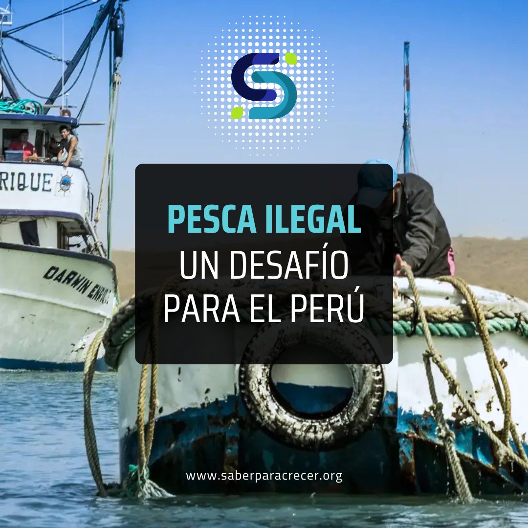 red_semilla's tweet photo. La pesca ilegal no es solo un problema ambiental.
También es un problema de gobernanza.

Conocer los antecedentes de quienes buscan cargos públicos es clave para proteger el desarrollo sostenible y tomar decisiones informadas. https://t.co/ScDHE4TzPg