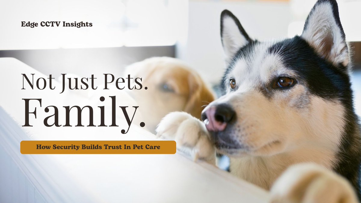 EdgeCCTV's tweet photo. Pet owners expect more than care...they expect safety.
Security systems help boarding and grooming facilities protect animals, support staff, and build trust.
Learn how:
https://t.co/2jnlmyEK4s

#petboarding #doggydaycare https://t.co/L1okXcK9yu