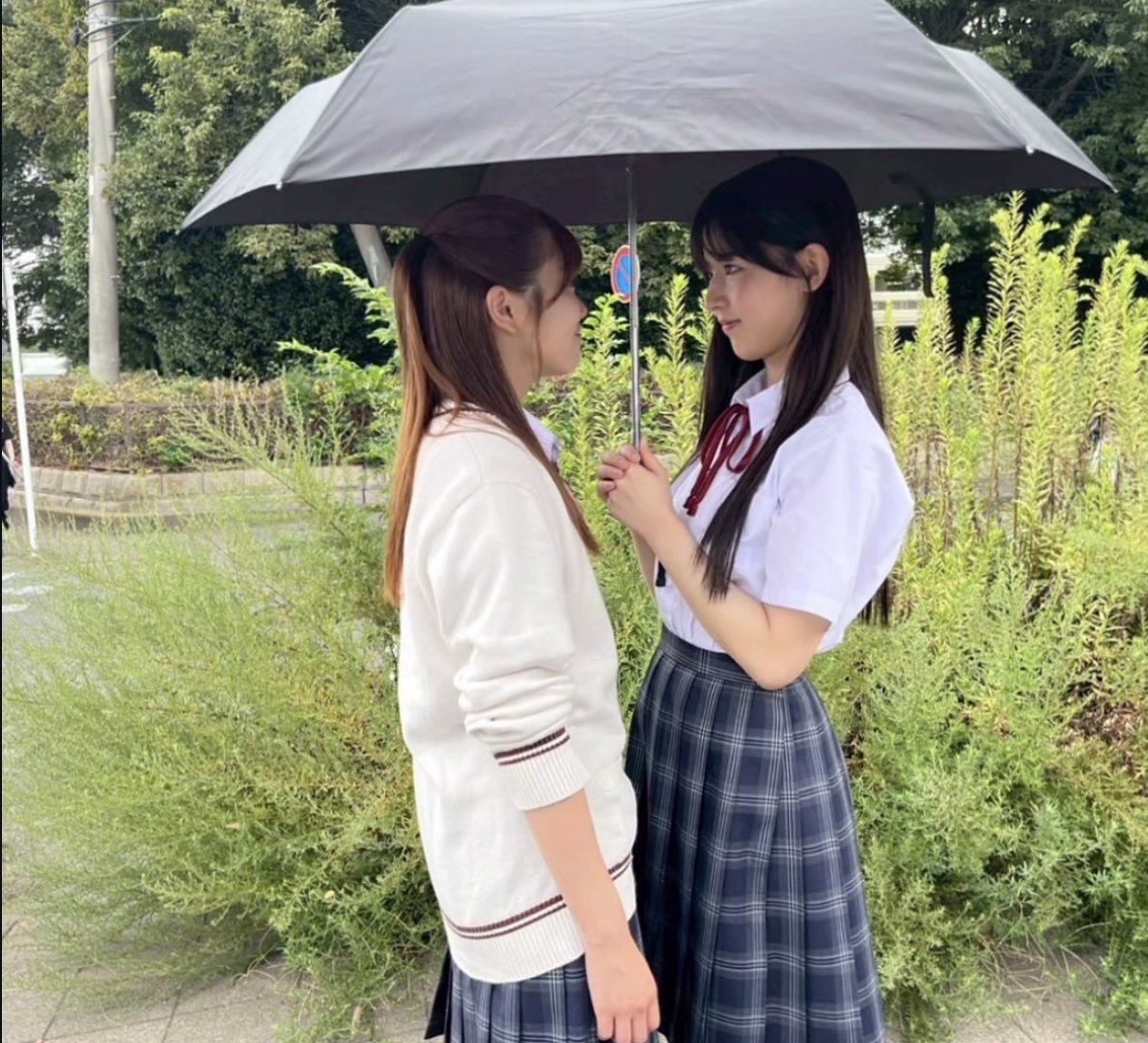 ガーしゃん ◢͟￨❀⁴⁶ (@high02flyingMMM) / Posts / X