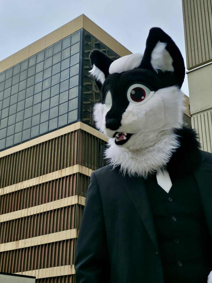 MrMultiplex's tweet photo. We lookin good &amp; feelin good!!!~

🐺👔🐾 

👔- @RufflyMadeSuits 
📸- @LunarKalypse 

#furry #fursuit https://t.co/TKJyxbU8fb