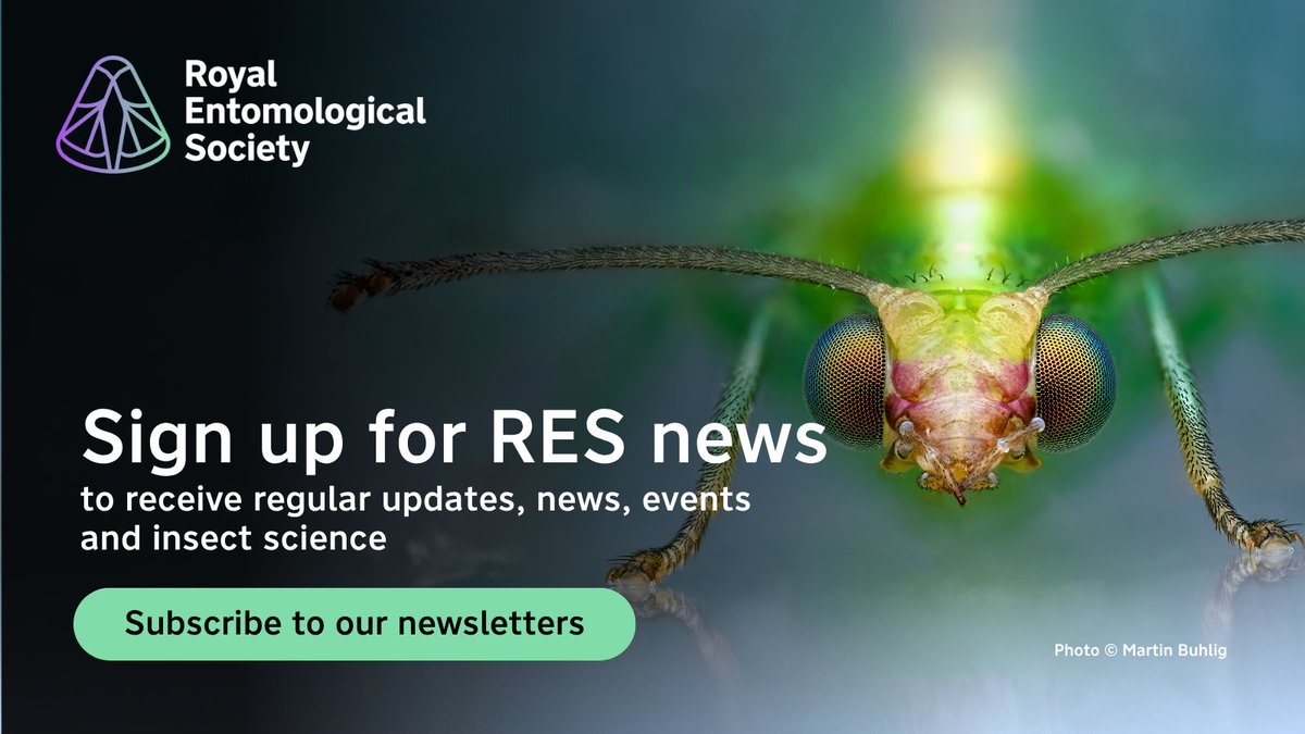 Royal Entomological Society tweet media
