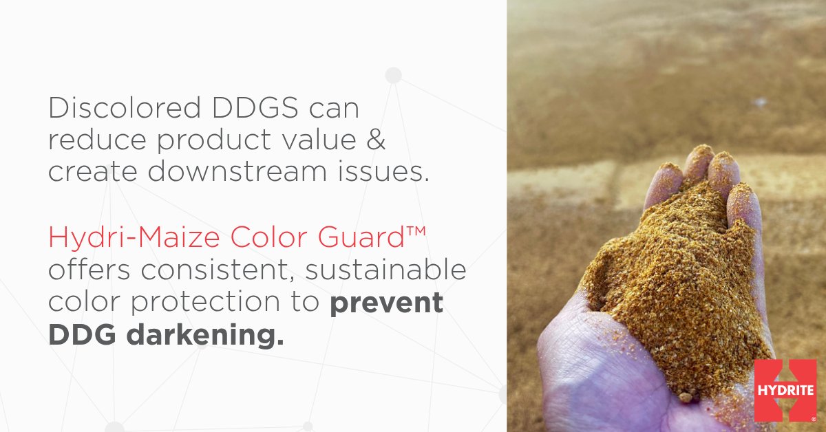 HydriteCo's tweet photo. In ethanol production, discolored DDGS aren't just cosmetic, they can reduce product value &amp; create downstream challenges.

Hydri‑Maize Color Guard™ helps prevent DDGS darkening w/ consistent, sustainable color protection, supporting your plant's success: https://t.co/TddXK6yJat https://t.co/HH38udDWv3