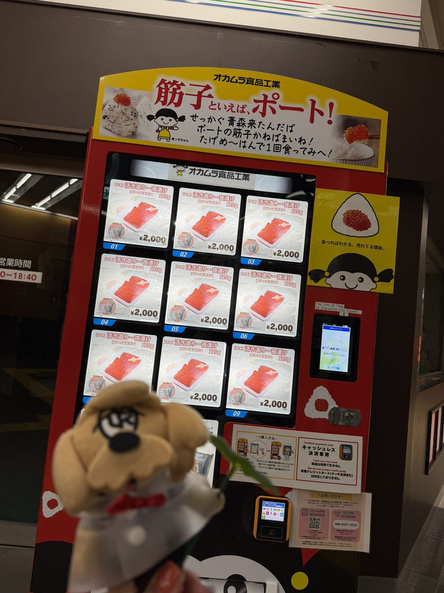 ば ば ち tweet media