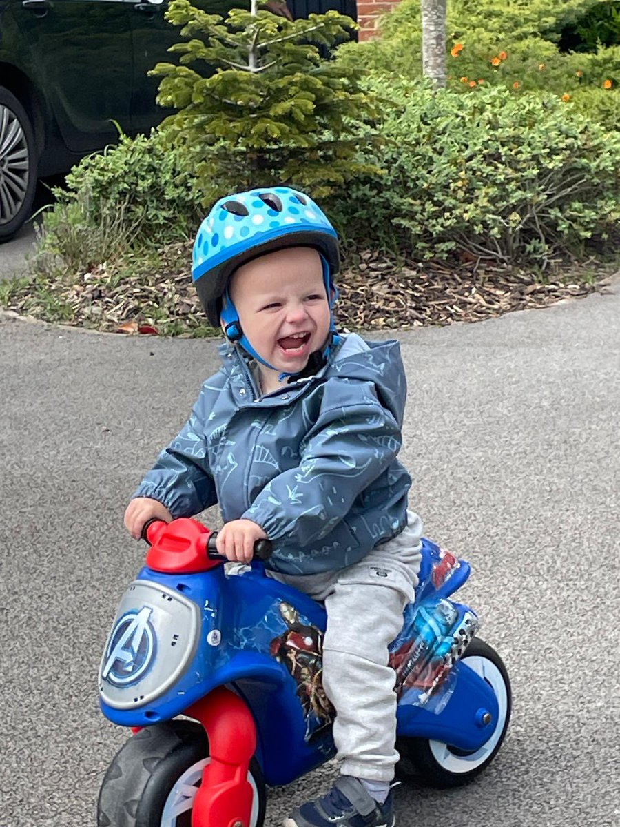 WildingKeith's tweet photo. Winston Fox Wilding😂 https://t.co/bWbhHppJnw
