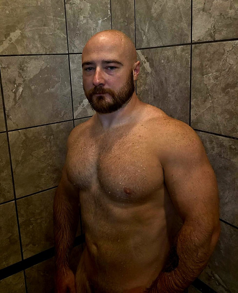 Bearded Gainz tweet media