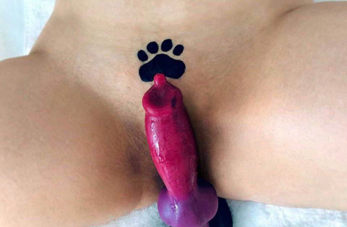 Kinky Sandra tweet media
