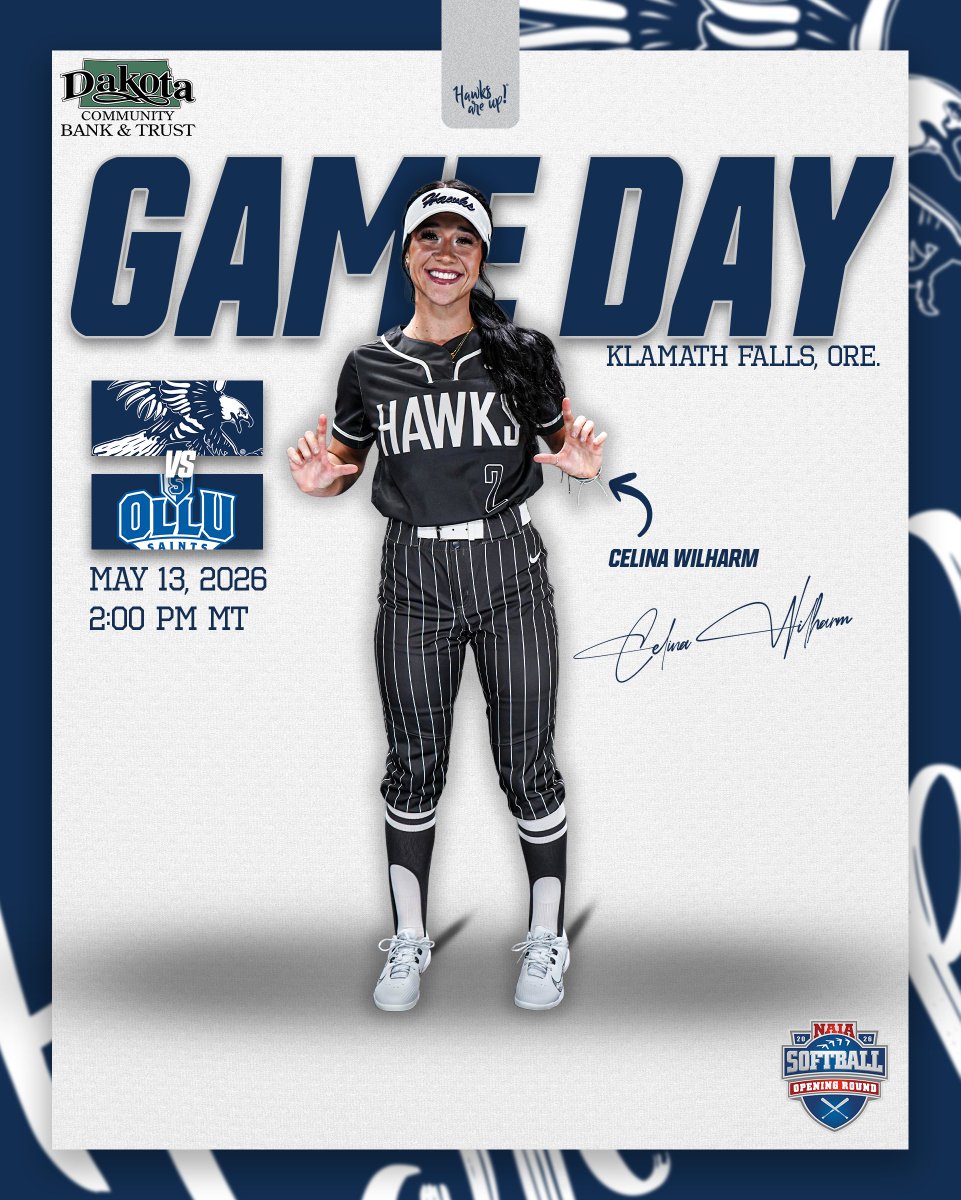 DSU Blue Hawks tweet media