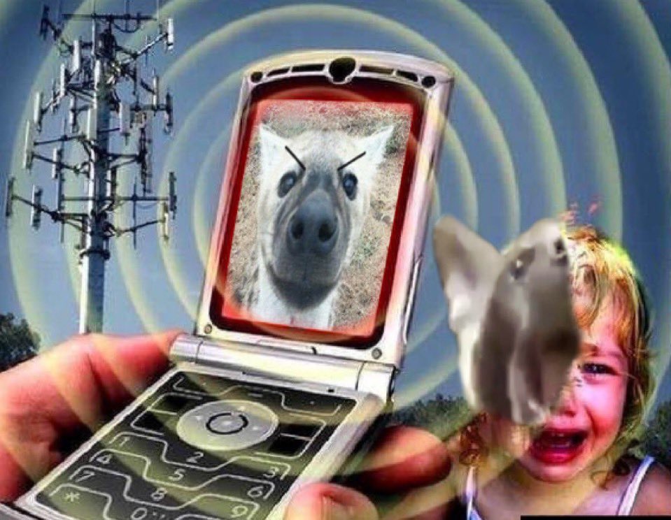 Svark Yeen tweet media
