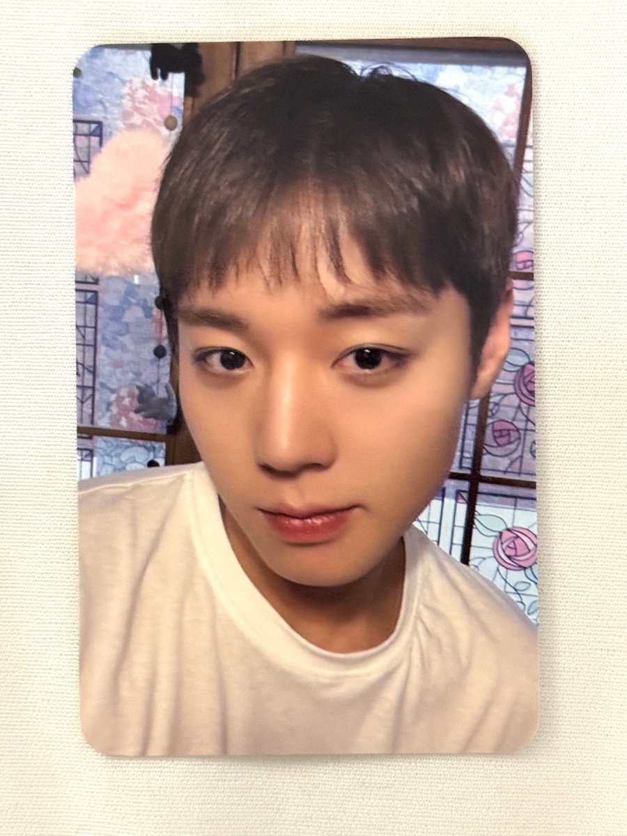 뷩이 tweet media