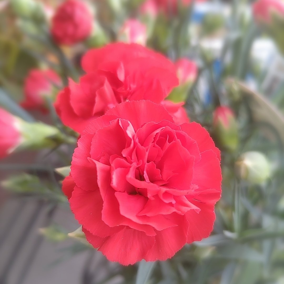 嶋次郎 tweet media