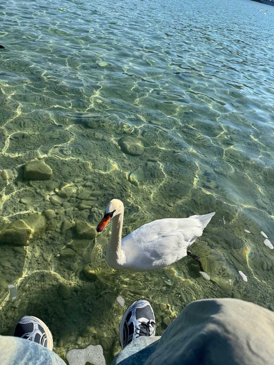 🧸🌻 tweet media