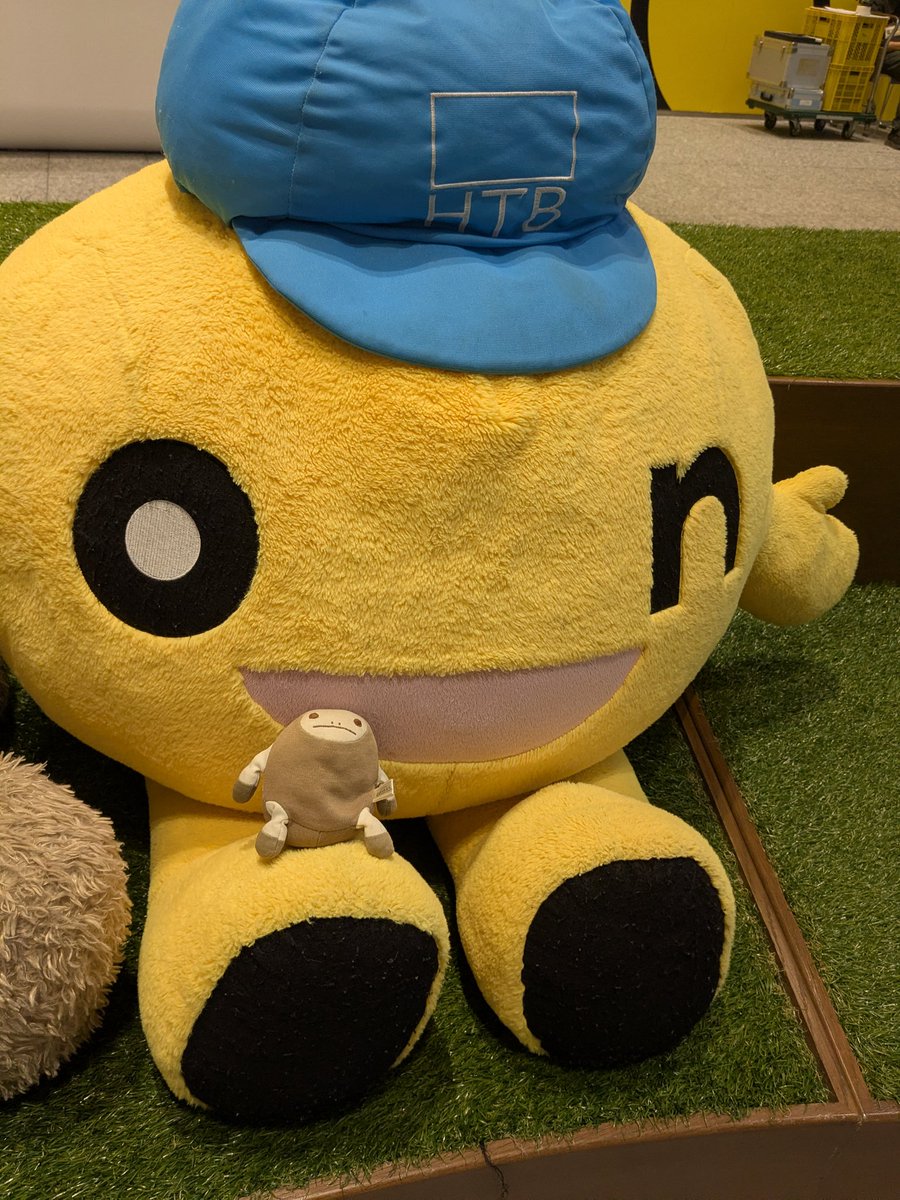 ちゃあこ tweet media