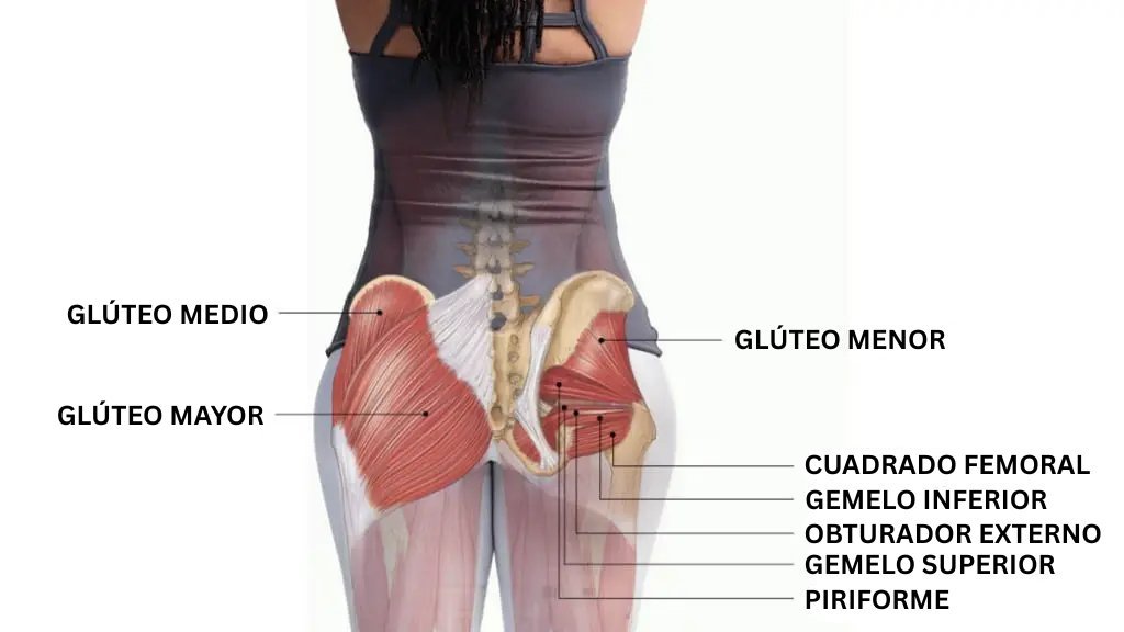 MindBodyIsLife tweet media