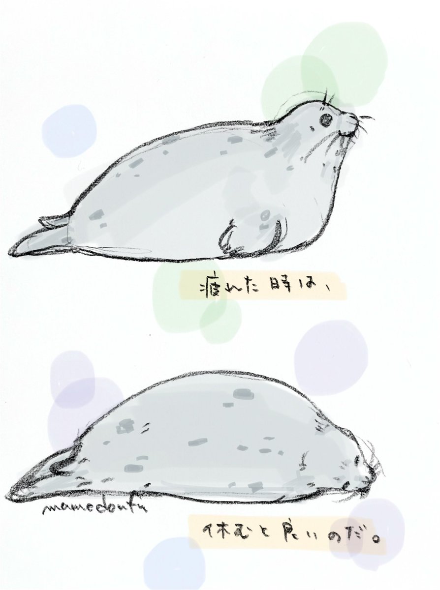 まめどうふmamedoufu tweet media