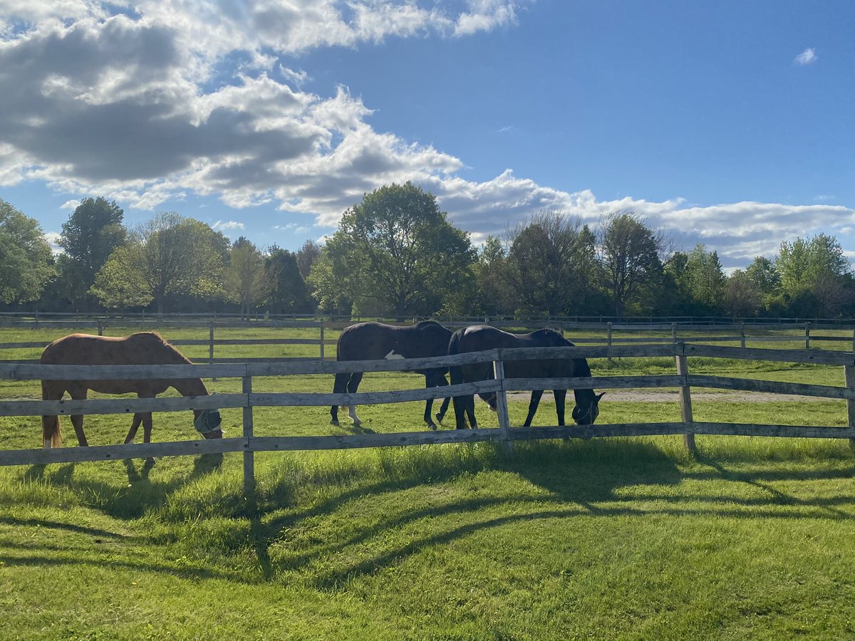 gener5757's tweet photo. Looks like a sunny but cool and windy day https://t.co/nsGTLNYkym