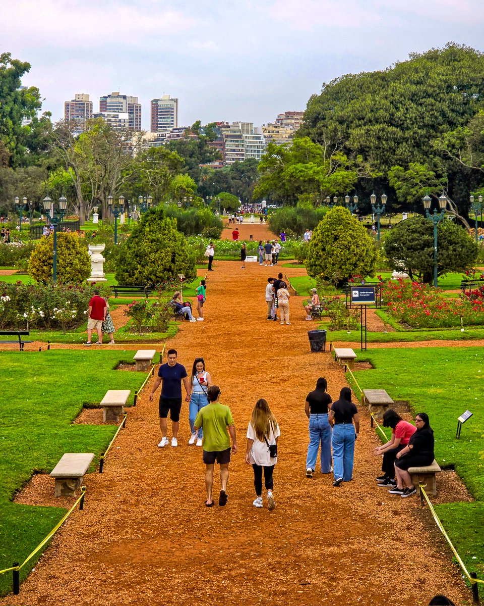 BA Landscapes tweet media
