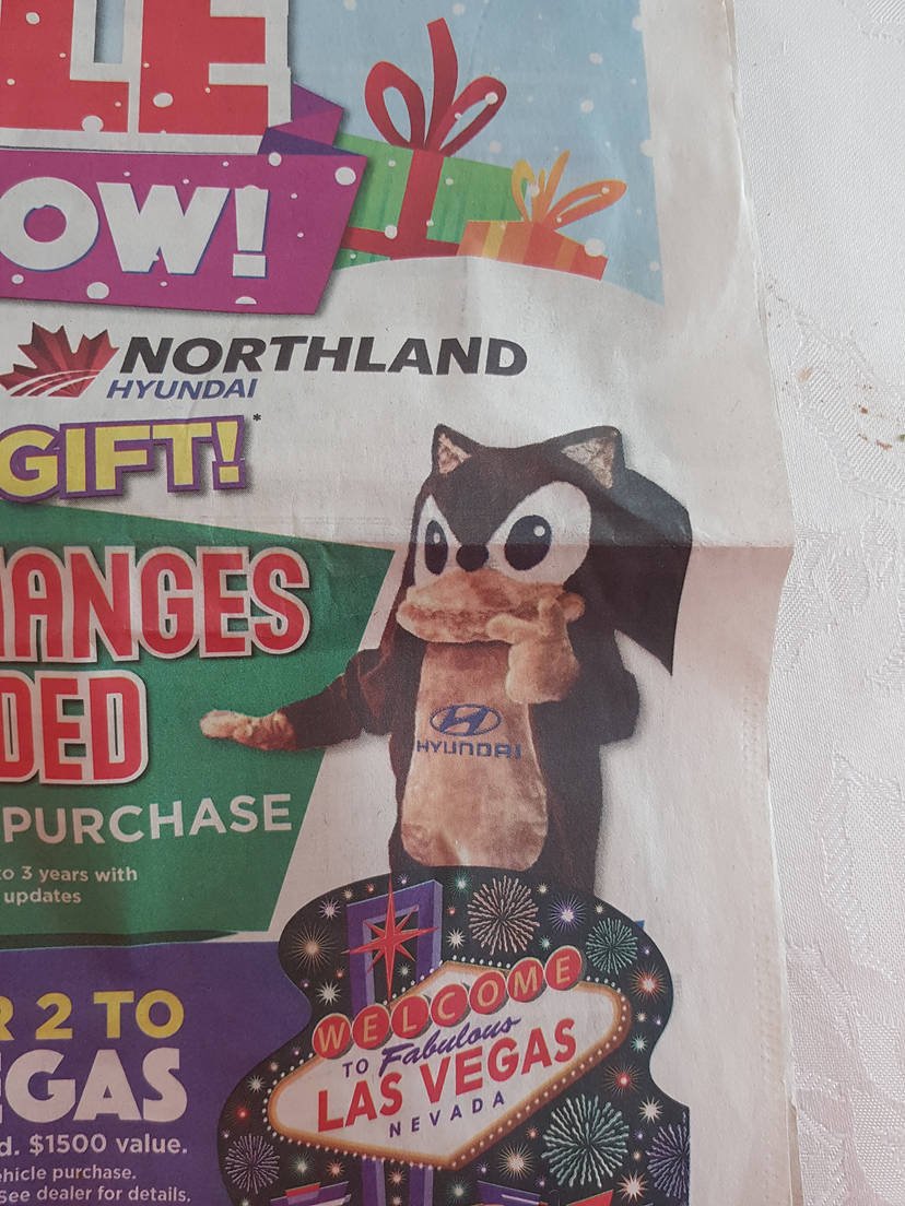 McMattyBear🇨🇦🏳️‍🌈 tweet media
