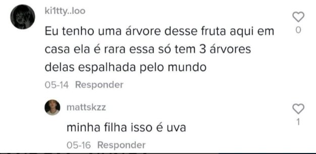 Blá, Blá Blá 🛻💫 tweet media