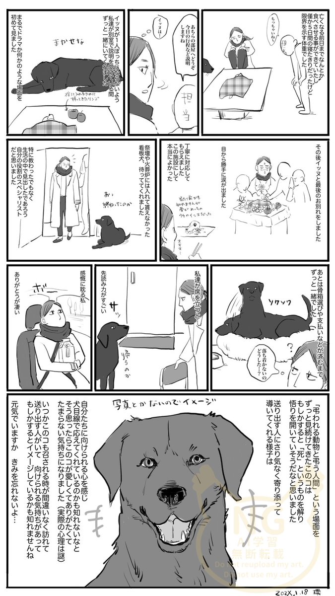 環 tweet media