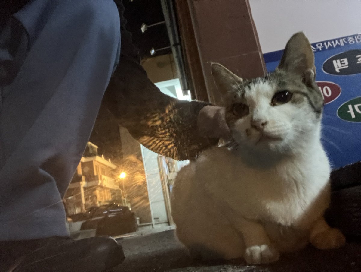 쓰레기통 tweet media