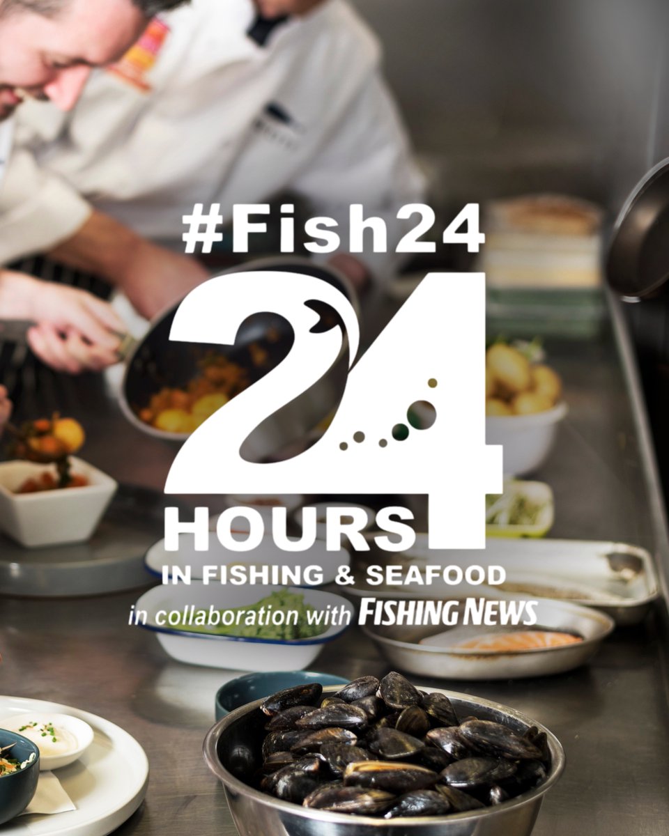 Fish City Belfast tweet media