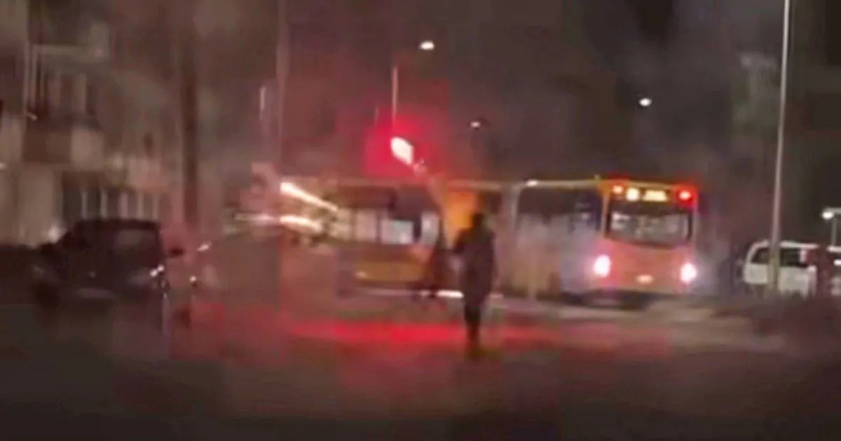 🇳🇱🏴pvv patriot🏴🇳🇱 tweet media