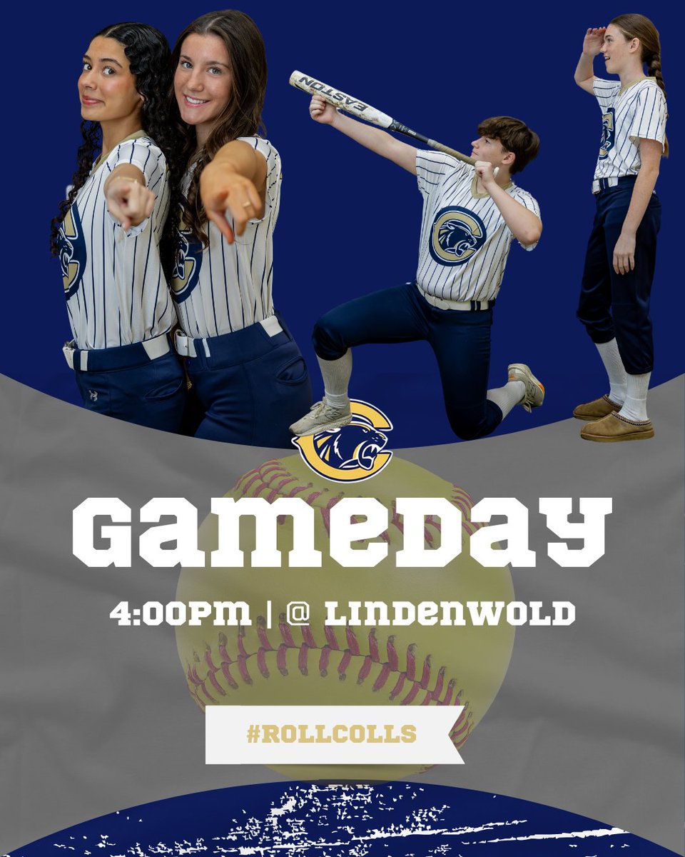 Collingswood Softball tweet media