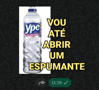 Ouriço de cartola tweet media
