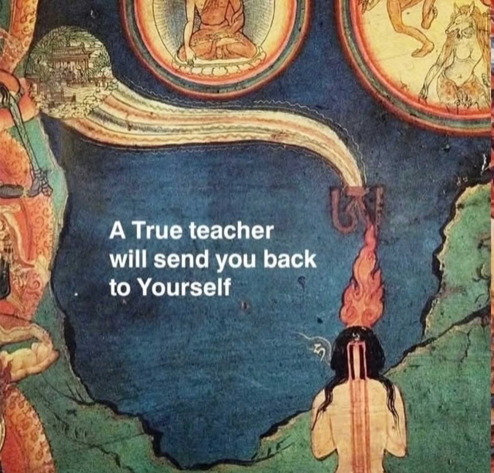 🪽 Michael ♌ Rising 🐉 tweet media