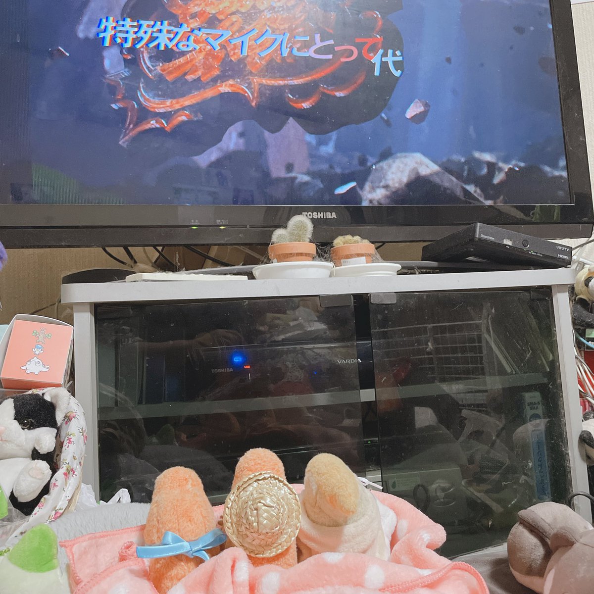 🦖黒川清孝🦖 tweet media