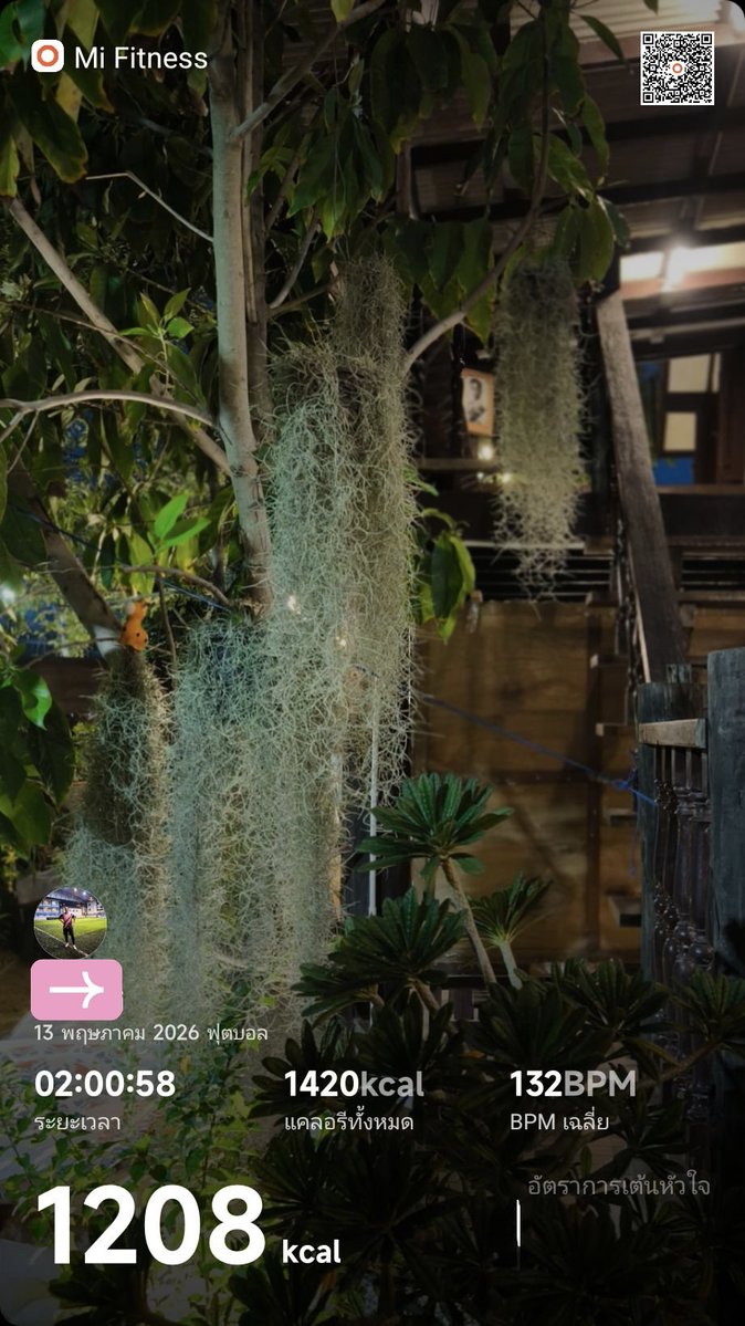 ความเย็นสบายในสายลม 🏞️🎏🌟 tweet media