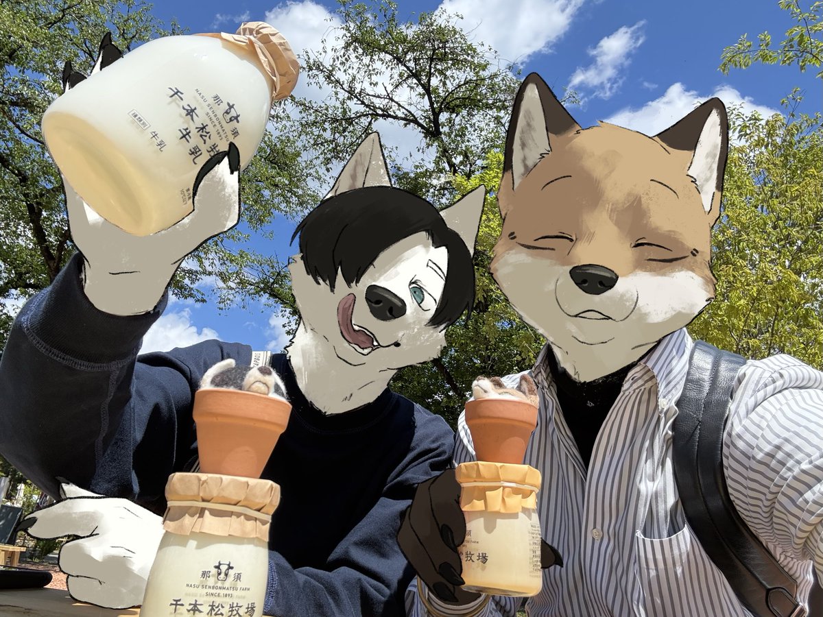 豆腐犬 tweet media
