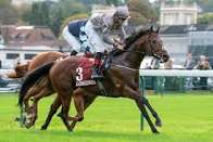 HORSERACING1002's tweet photo. A CASE OF YOU🇮🇪2018
(HOT STREAK ▪︎ KARJERA BY KEY OF LUCK)
#ACaseOfYou
B/ Limestone & Tara Studs🇮🇪March 27, 2018
O/ NHM J Allali
T/ Mick Price & Michael Kent
GOFSPT $3,289 RNA
22-7-2-3----$1,427,755
2021 Hwt at 3yo in Ireland 🇮🇪 5-7f
2022 Hwt Older Horse in Ireland 🇮🇪 5-7f
Anglesey S G3, Lacken S G3, Prix de L'Abbaye de Longchamp G1, Al Quoz Sprint G1,
2nd Flying Five S G1, Nad Al Sheba Turf Sprint G3,
3rd Phoenix Sprint G3, Greenlands S G2,
Stand Drakenstein Stud in South Africa 🇿🇦 Sired Pavarotty,