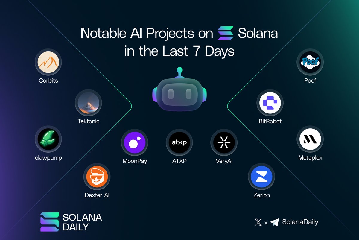 Solana Daily tweet media