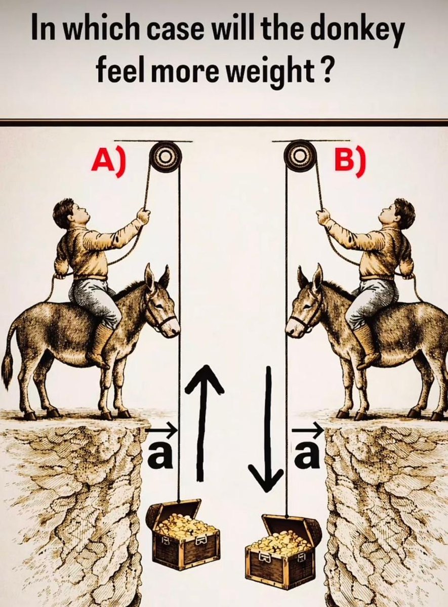 Brain IQ Test tweet media