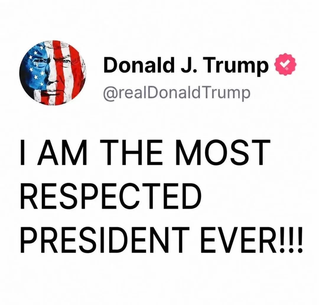 Littlewisehen tweet media