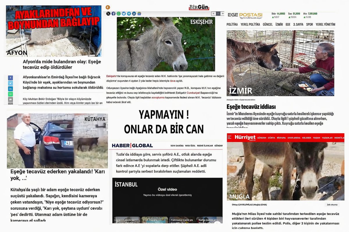 AntiFascist tweet media