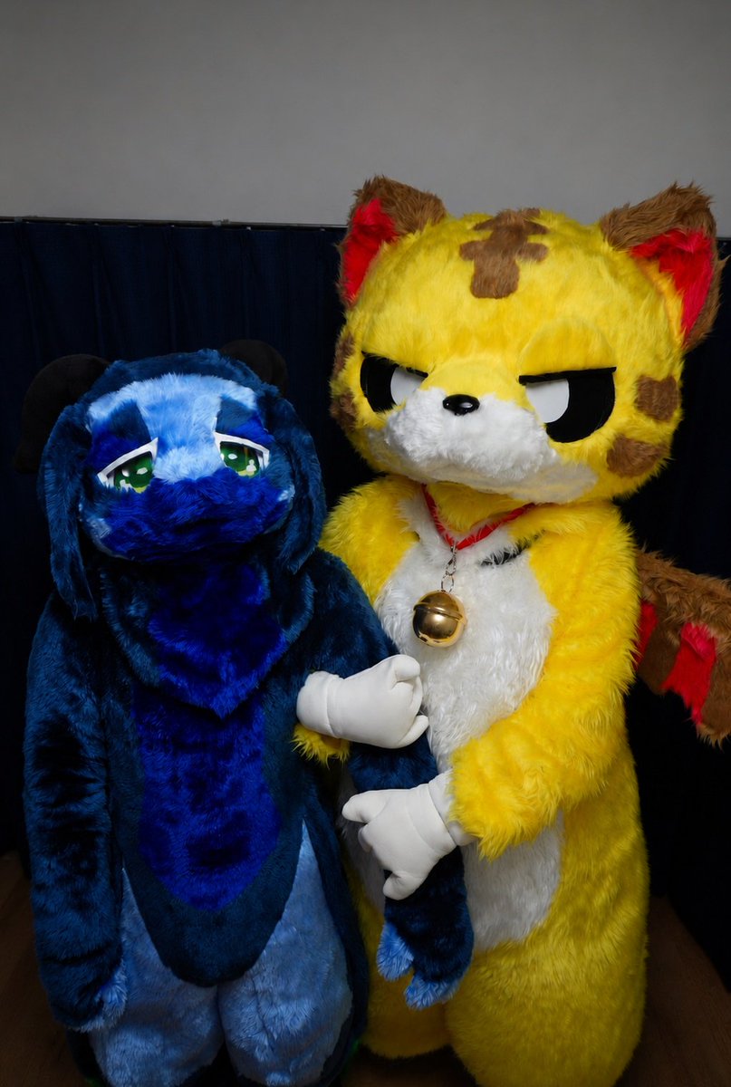 Gadorah_Gadorah's tweet photo. この前、ご主人が友達を呼んで、『ガドラーオフ』を開いてくれたぜ！
オレをモフったり、一緒に映画を見たり、ルキノくんと遊んだりして、とても楽しかったぜ🐯ご主人が張り切ってテストもやらせていたが、なかなかの難易度にも関わらず、みんな頑張って解いていたな！
また、次も開催してほしいぜ！ https://t.co/yb0nx53hmc