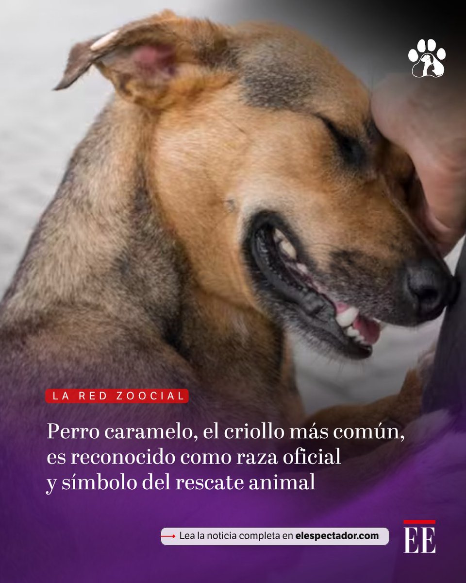 Juancho Sinisterra 🇨🇴 tweet media