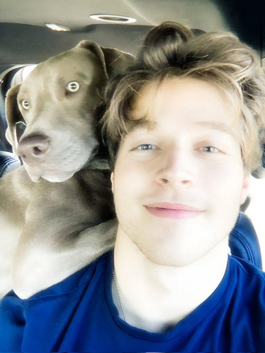 ℱ𝘳𝘰𝘺𝘭𝘢𝘯 ❦ tweet media