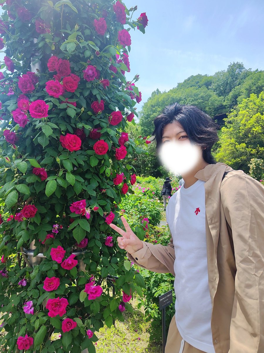 まいこ tweet media