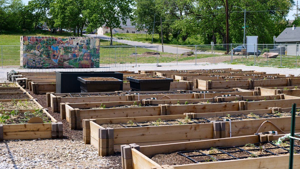 latinocenterorg's tweet photo. 🌱 After six months of planning and 80 hours of labor, we’re ready for the 2026 growing season! 

🌸 Our garden is thriving, and the plants already look beautiful. 

☀️ We can’t wait to share the growth and progress this summer! https://t.co/eI80n5SQMK