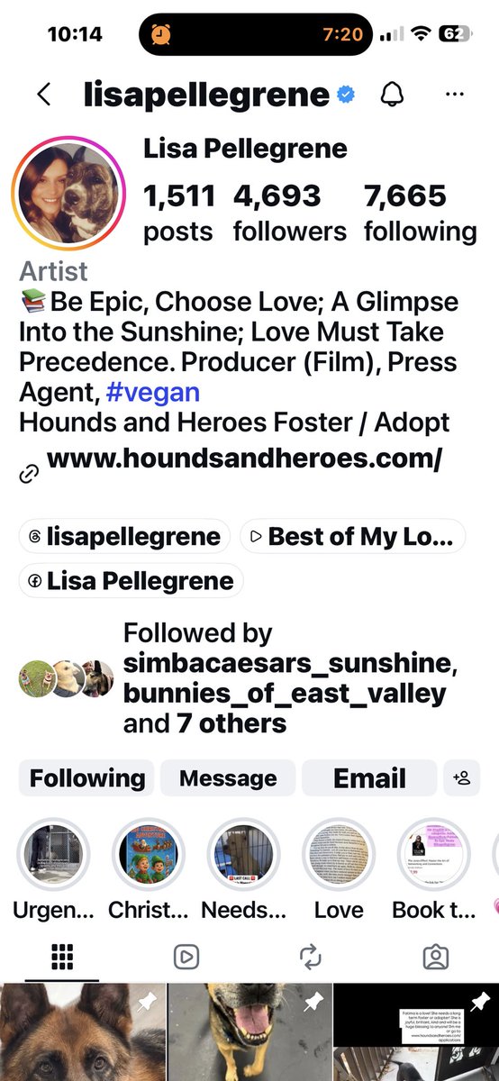 Kristina 🇺🇸❤️🇮🇱 😇🐶🌻📣☮️ tweet media