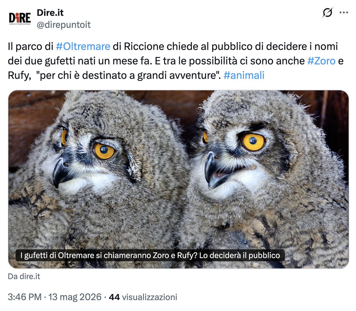 nonleggerlo tweet media