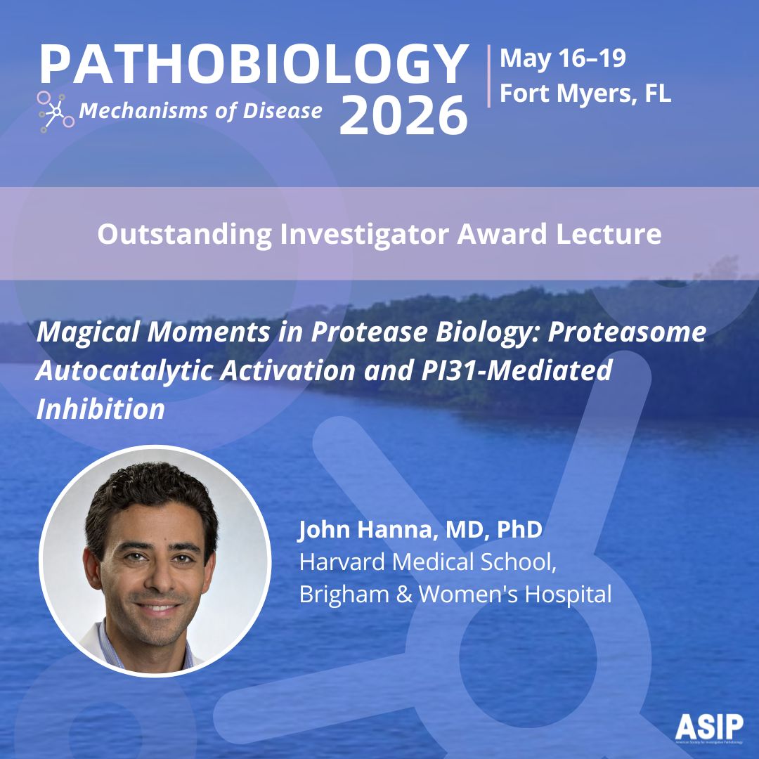 ASIPath's tweet photo. (2/2) IT'S MEETING WEEK! We are so excited for these award lectures at #Pathobiology2026 in Fort Myers ✨

#PathobiologyResearch #DiseaseMechanisms #ASIP2026 https://t.co/4fgh8sO9qw