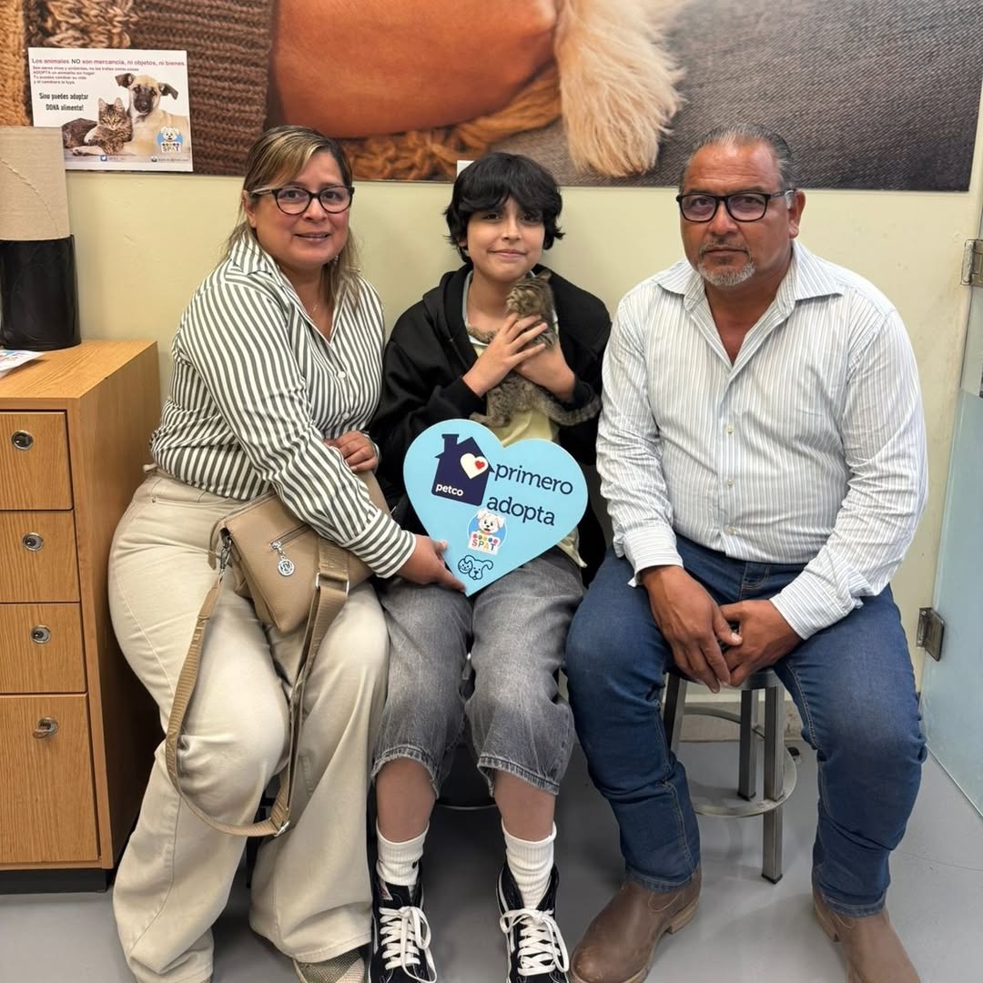 SPAT_AC's tweet photo. Feliz vida para Juanito y Mauricia! 
Las campanitas de la adopción sonaron y una bella familia los recibe con amor, compromiso y responsabilidad. Muchas gracias por adoptar y permitirnos seguir salvando vidas. #misioncumplida #primeroadopta #petcotampico #adopta https://t.co/Kqhxsszyba