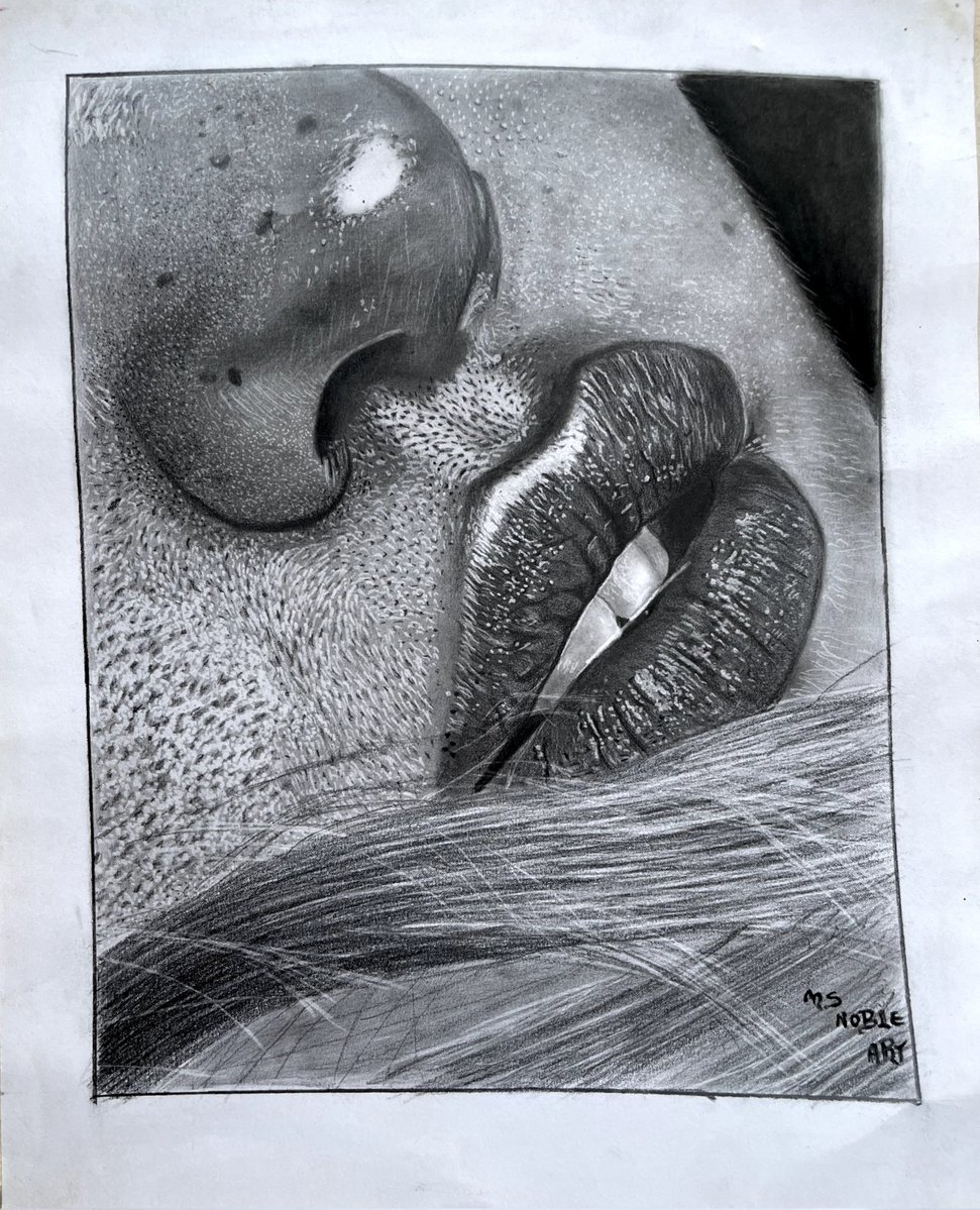 Msnobleart tweet media