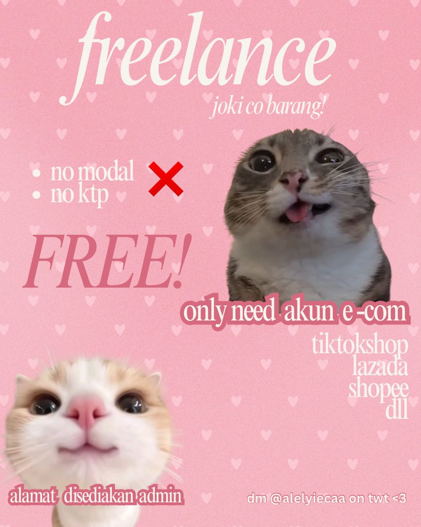 alelyiecaa cek pinned freelance joki co tweet media