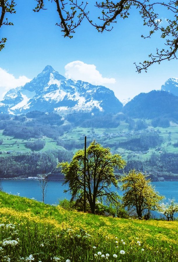 Beauty Of Earth tweet media