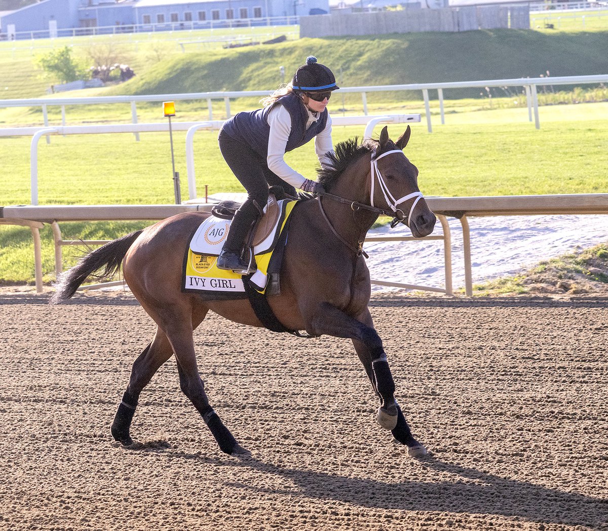 Preakness Stakes tweet media